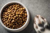 Bowl of dry pet food kibble with cat paw reaching toward it, photographed from above on gray stone background.