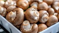Fresh brown cremini mushrooms in blue container, macro food photography showing natural texture and details. Organic produce for cooking and healthy eating.