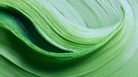 Abstract curved lines in fresh spring green tones create flowing organic waves and movement, suitable for modern minimalist backgrounds and nature-inspired designs.