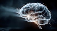 Human brain with glowing neural networks and light particles on dark background for medical neuroscience research presentations and educational materials.