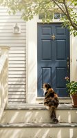 Fluffy calico cat sitting on front porch steps by blue door of white colonial house with potted plants and dappled sunlight filtering through tree branches.