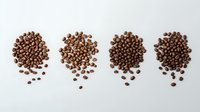 Fresh roasted coffee beans arranged in four neat piles on white background, showing different roasting stages and sizes for coffee shop marketing and design use.