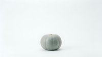 Small green pumpkin isolated on white background for autumn decoration, harvest season design, and fall themed projects.