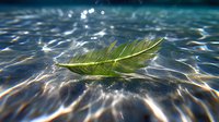 Green palm leaf floating on rippling water surface with sunlight reflections creating magical bokeh effect and peaceful zen-like atmosphere.
