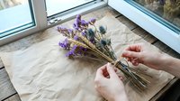 Hand holding dried purple statice flowers and green foliage bundle on kraft paper by window, creating floral arrangement for crafts, decoration, or dried flower bouquet projects.