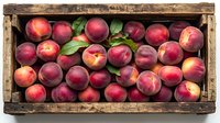 Fresh ripe peaches with green leaves arranged in rustic wooden crate, top view. Red and yellow organic fruit harvest displayed in vintage box for farmers market.