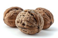Whole brown walnuts in shells arranged on white background, macro food photography showing natural texture and pattern of nuts for healthy eating concept.