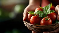 Fresh ripe red tomatoes with green basil leaves in wicker basket held by hands, organic vegetable harvest concept for healthy cooking and farm produce.
