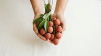 Fresh rambutan fruits held in hands against neutral background, tropical produce for healthy eating, cooking, and food styling projects.