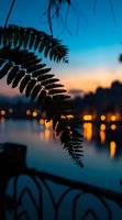 Silhouette of fern leaves against twilight sky with bokeh city lights reflecting on water surface, creating magical evening atmosphere with blue and orange tones.