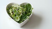 Fresh mixed microgreens and sprouts in white heart-shaped bowl on white background, suitable for healthy eating, nutrition, wellness, and organic food concepts.