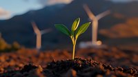 Young green seedling growing from fertile soil with wind turbines in background during golden sunset, representing sustainable development and renewable energy.