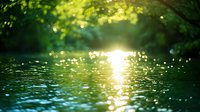Tranquil water surface reflecting golden sunlight through green forest canopy creates magical bokeh effect and peaceful nature atmosphere.