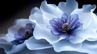Elegant white and purple flowers with delicate petals and dark centers on black background for luxury design projects and botanical artwork.