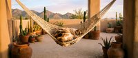 Fluffy cat napping in a woven hammock on a sunny desert patio with cacti, succulents, and mountain views in warm golden light.