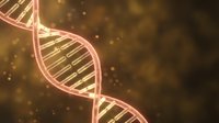 Glowing DNA double helix structure with neon pink and gold illumination against warm bokeh background, suitable for biotechnology, genetics, and scientific research presentations.