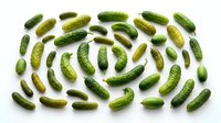Fresh green cucumbers arranged in circular pattern on white background, isolated produce for food and nutrition design projects.