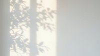 Soft natural leaf shadows cast on white wall creating organic light patterns for interior design and minimalist home decor backgrounds.