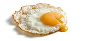 Fried egg with crispy golden edges and runny yolk on white background, isolated for culinary design, food packaging, restaurant menus and cooking content.