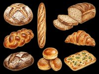 Assorted fresh baked bread loaves, rolls, croissants and focaccia isolated on transparent background. Ready for bakery designs, menus, packaging, t-shirts and print-on-demand products.