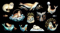 Cute seal and sea lion clipart set isolated on transparent background, ready for stickers, t-shirt design, print on demand, and sublimation projects.