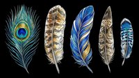 Set of five detailed feathers including a peacock eye feather, isolated on transparent background, ready for stickers, sublimation, t-shirt design, and print on demand.