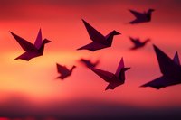 Paper origami birds silhouettes flying against dramatic sunset sky in orange and red colors, creating peaceful zen atmosphere for wall art and greeting cards.