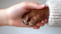 Dog paw in human hand, symbolizing trust and companionship between pet and owner, perfect for veterinary or animal care content.