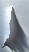 Dramatic shadow of a Christmas tree cast on textured white surface, creating stark contrast between light and dark areas with soft gradient edges.