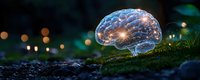 Glowing translucent brain on mossy ground with bokeh lights in background creates magical forest atmosphere, concept of mind, consciousness and natural intelligence.