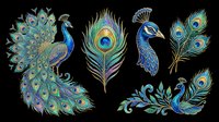 Elegant peacock clipart set with full bird, feathers, and portrait isolated on transparent background. Great for stickers, t-shirt design, and print on demand.