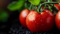 Fresh ripe red tomatoes with water drops on dark background, selective focus. Natural organic vegetables with green stems and leaves for cooking.