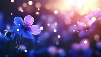 Purple wildflower blooming in magical bokeh light with warm golden glow and sparkling effects creating dreamy atmospheric background for nature designs.