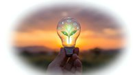 Hands holding glowing light bulb with green plant inside against sunset sky. Eco-friendly innovation, renewable energy, sustainability concept for environmental campaigns.