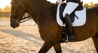 Professional equestrian rider in white competition attire on brown horse during dressage training session at golden hour sunset in outdoor arena.