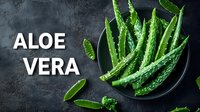 Fresh aloe vera leaves in bowl on dark stone background for natural skincare and wellness products.