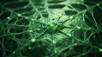 Green organic neural network structure with intricate branching patterns resembling plant cells or biological tissue for scientific research presentations.