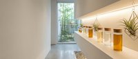 Modern minimalist bathroom interior with floating vanity, ambient lighting, glass jars and air plants creating spa-like atmosphere for contemporary home design.