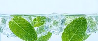 Fresh mint leaves splashing into clear water with bubbles creating refreshing beverage concept for summer drinks and natural cooling products.