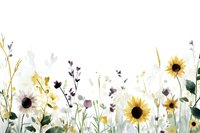 Delicate watercolor garden border with sunflowers, white daisies and wildflowers on white background. Botanical floral arrangement for wedding stationery.