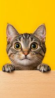 Curious tabby cat with big yellow eyes peeking over wooden surface against vibrant yellow background, showing paws. Playful expression captures attention.