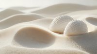 Seashells on smooth white sand dunes creating gentle curves and shadows in natural sunlight, minimal coastal composition for spa and wellness design.