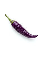 Fresh purple eggplant with green stem isolated on white background, ready for culinary, food, and cooking design projects.