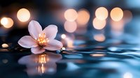 Pink cherry blossom floating on water surface with golden bokeh lights reflection creating peaceful zen atmosphere for spa and wellness backgrounds.