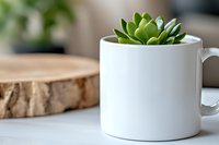 Small green succulent plant growing in white ceramic coffee mug on table with wooden slice decor in background, modern minimal home decoration.