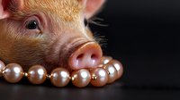 Close-up of young piglet wearing pearl necklace against dark background, luxury animal portrait for editorial, advertising, and humorous design projects.