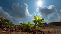 Young green plant sprouting from dry cracked soil against dramatic blue sky with sun and fluffy white clouds, symbolizing hope and resilience.