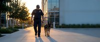 Police officer walking with trained German Shepherd dog on urban sidewalk during golden hour sunset, law enforcement K9 unit patrol in modern city.