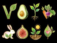 Watercolor vegan and nature clipart set with avocado, carrot, fig, rabbit, sprout, and leaf icons, isolated on transparent background, ready for stickers, t-shirt design, and print on demand.