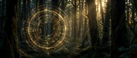 Mystical forest with glowing golden geometric circle portal emanating light rays through dark woodland trees creating magical atmospheric scene.